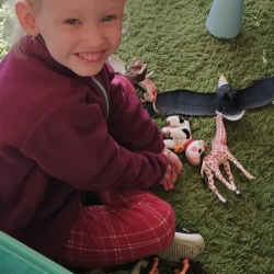 8ae186a0-ed69-4a36-9f47-03e04fb80e3b