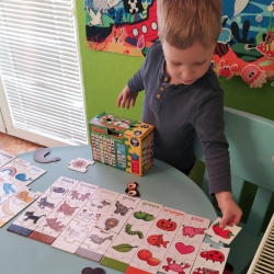 c1a310a3-1e54-4775-be7c-bb471511a1e9