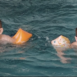 6bb88a20-1d27-41d6-84e8-bf3ee40e5415