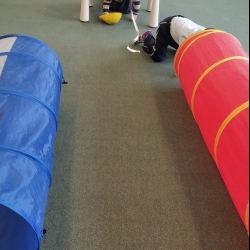 6ce53751-8e18-4dbb-a6e7-2e3e77f46f2a