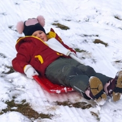 1d7383b0-d5de-41c7-8210-7e5904cee026