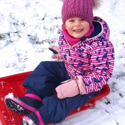 62e550e5-8e07-48b2-9c70-ede0648e1ba8