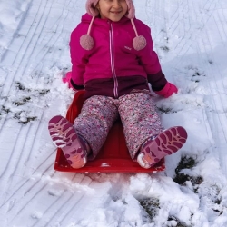 db278e70-d047-4aae-878d-04372d6d282f