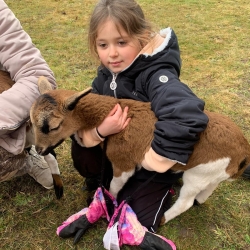 0fcb0c72-280f-4a07-b828-ad49bbad7dc0