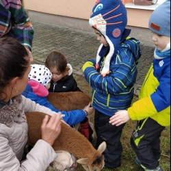 1d9aaf57-233e-425b-9be7-36d8ef3c07a4