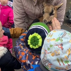 6a7bf8cd-ea4b-404c-9e7c-62317e3835e1