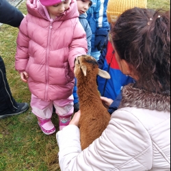 7fe76671-7278-4e92-ab70-d81ed83568b3