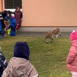 9ba46ecf-a024-49d6-891a-eaa0c4ecb0f4