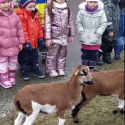 017f9266-4c75-4ae0-9a43-eb53fa841456