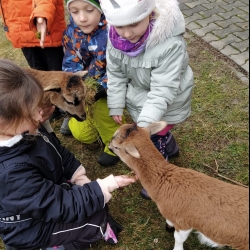 031b16fd-4987-413d-94c8-1180bed43d8b