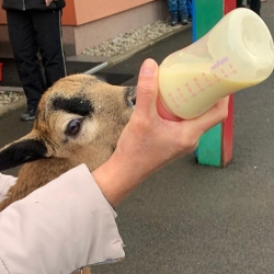 055e702e-2c91-43fa-9ab1-b5de882def9c