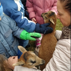 199e6b30-791e-46e5-8e91-c091d1a411e2