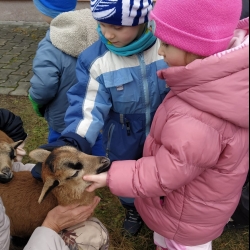 33542bc9-bfe0-4100-b2e9-2d8f94e8532d