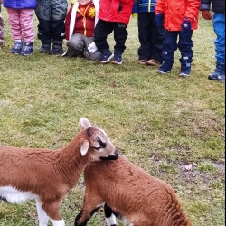 24858647-3b99-41b1-8d2c-47a0ea435644