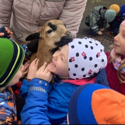 af1a6126-ac5e-4d1c-825c-dfc12523c2ee