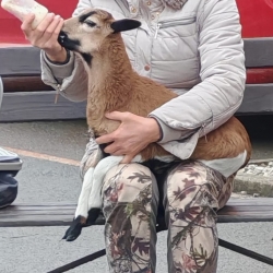 b6a4e0e2-6dd2-4f2d-9cc1-fccd962a4ad7