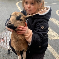 c80b01d1-ab4e-4e84-9784-daa1e08711c7