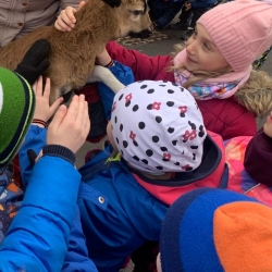 ccf46ab0-8dd4-4840-bac2-84f2aa57faa6