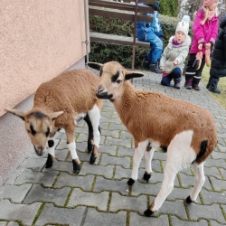 d66f89b7-767e-451e-a7b6-278f40d04c6c