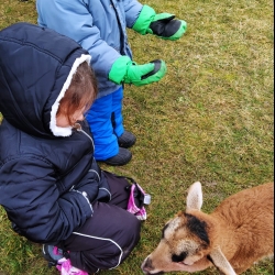 e6098c88-e497-4235-8838-c403b55d783b