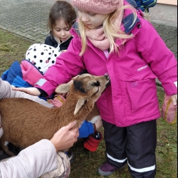 eff9a442-a094-4432-80a4-9148b2be61b7