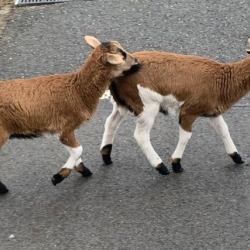 f6543bee-bdf7-431b-bbe3-2e00c1da4457