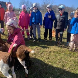 1d5c40bc-284f-4e92-bf0b-83cb8acf4f11