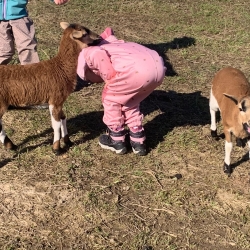 3dd87e6f-d7f3-4dc5-a3bd-b271182e8395