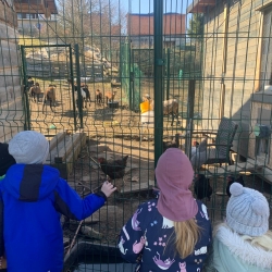 004a51f4-4ff4-4967-bee7-fa3b51dff4a7