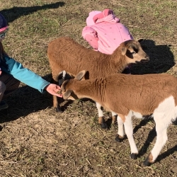 33c90c80-ba3a-457c-b28f-b63cfa509a36