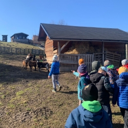 9175ad31-369f-4328-b78f-ab3bad1b3094