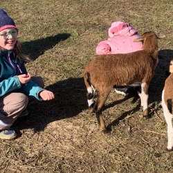 a4841ae7-5149-4021-9815-372987ed63cf