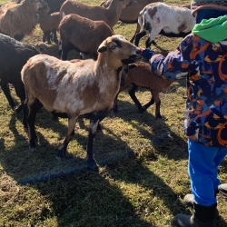 ee1373ed-9e97-4449-b057-daa66b0c1404