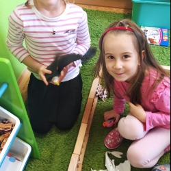 8a0ce3ff-7f81-4526-b381-2eaa3a881693