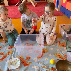 1d65a155-7cae-4cc0-935d-1f7e2cc350c7