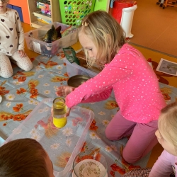 71cae689-63f4-4301-9038-1bd1244eebcd