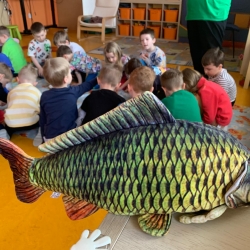 82f404b5-bc33-4fac-af7b-a1e145b50e94