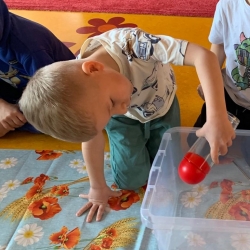 777d05f5-3e00-4fc4-9558-444628a4eb1b