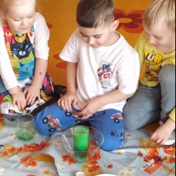 c8d582e3-737e-4007-8b1c-deb4f259e654