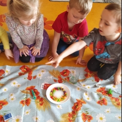 d6d0e903-4e65-4fc9-80a3-12ea80985455