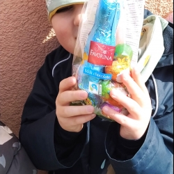 b11a8cbb-1a53-4f47-bbcd-d2fb7f2ad8f0