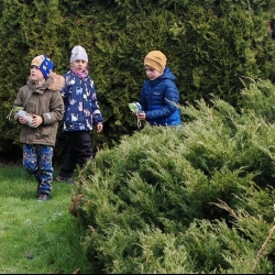 f69f1821-666d-4f98-9a91-ff64bd30f77a