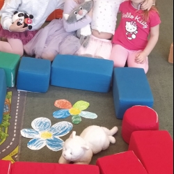 fe205c38-f24b-4808-82f0-a83fdf6fc9db