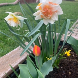 0ddb976c-9465-4ff1-a6f8-5c008ee87f5a