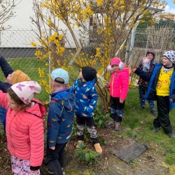 3f717f78-ceaf-4f92-b593-519f27fa0d64