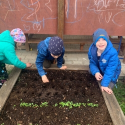 8b3f4fb5-5619-411b-8b38-98dc268bb574