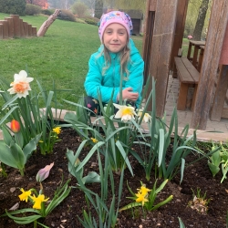 aa564bd8-767d-40ae-8240-221bdd1e8d20