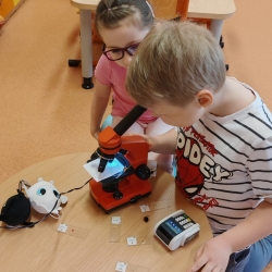 ff21bc06-817b-4053-98e4-4371abe1b5d1