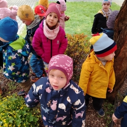 7eae5b8a-7fe2-447e-90b4-97e1e16eda5e