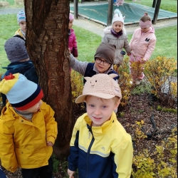 377f0c75-12df-48a2-b0bd-1a57581beb10